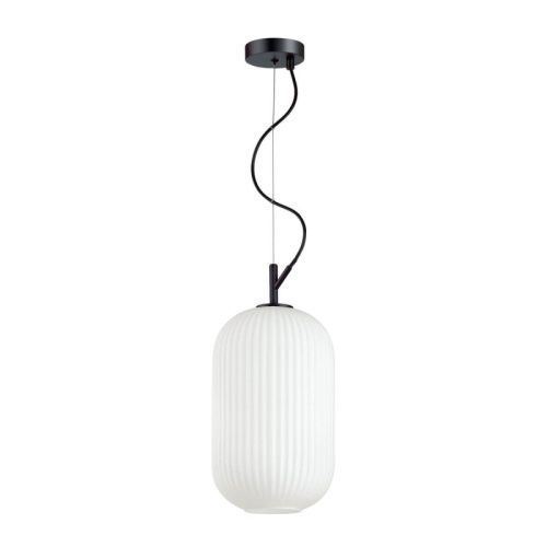 Светильник подвесной Odeon Light ROOFI (РООФИ) 4751/1