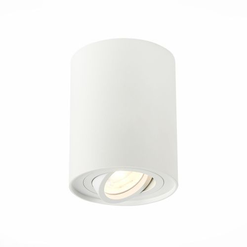 Светильник потолочный ST Luce Torus (Торус) ST108.517.01