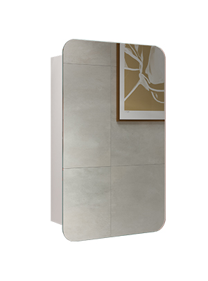 Зеркало-шкаф Velvex BIO zsBIO.40-21.11 39х64 подвесной цвет белый Зеркало-шкаф Velvex BIO zsBIO.40-21.11 39х64 подвесной цвет белый