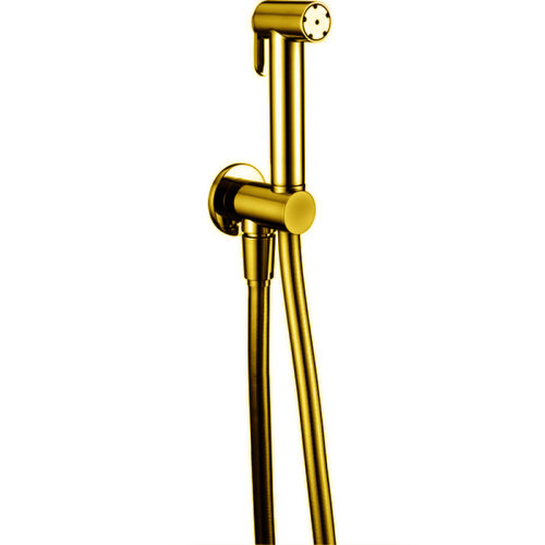 Гигиенический душ Cisal Shower A300791024 Акция золото