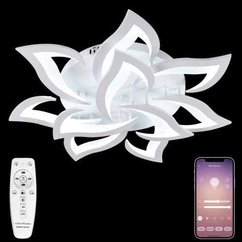 Люстра потолочная Natali Kovaltseva Olimp (Олимп) LED LAMPS 81224