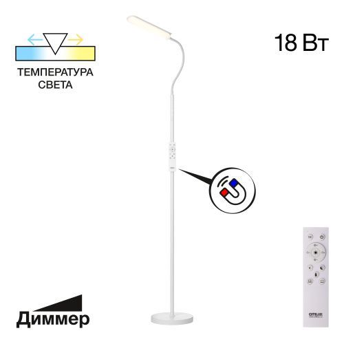 Торшер Citilux Alex (Алекс) CL804050