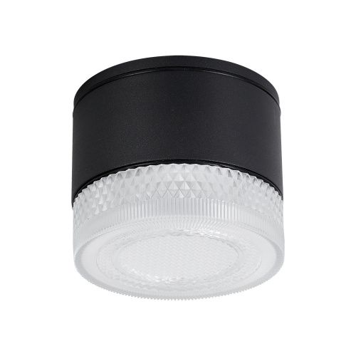 Уличный потолочный светильник Arte Lamp Piautos (Пиаутос) A1926PF-1BK