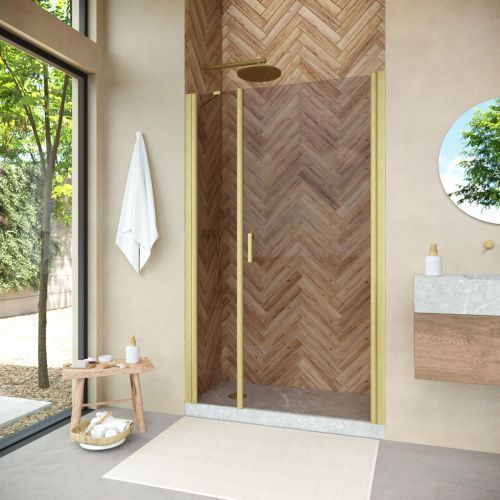 Душевая дверь Vegas-Glass EP-F-2 NOVO EP-F-2 NOVO 100 03 05 R 100х190 стекло тонированное профиль золото