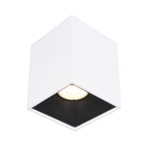 Светильник накладной ST Luce ST168.542.01