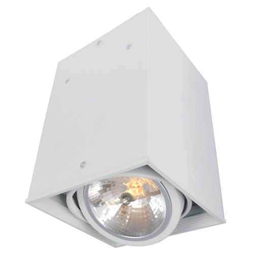 Светильник накладной Arte Lamp Cardani (Цардани) A5936PL-1WH