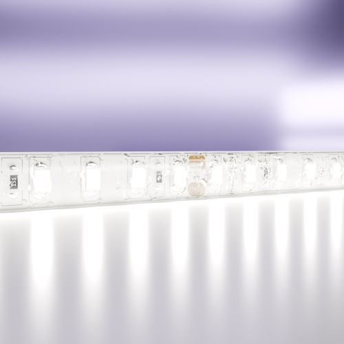 Светодиодная лента Maytoni Led Strip 10147