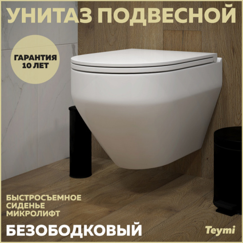 Унитаз Teymi Demi T40208 подвесной