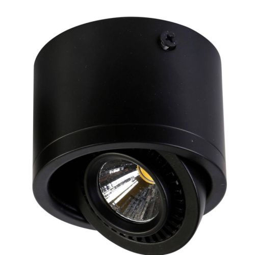 Светильник накладной Favourite Reflector Black (Рефлецтор Блацк) 1778-1C