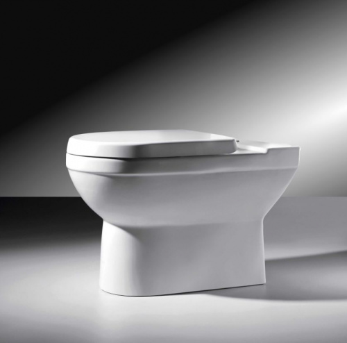 Чаша унитаза напольная Bravat New Moon CX01014UW-P-RUS цвет белый с сиденьем микролифт без бачка душевой смыв