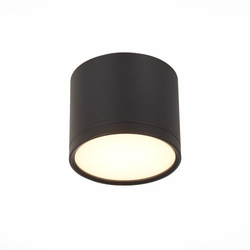 Светильник потолочный ST Luce Rene (Рене) ST113.432.09