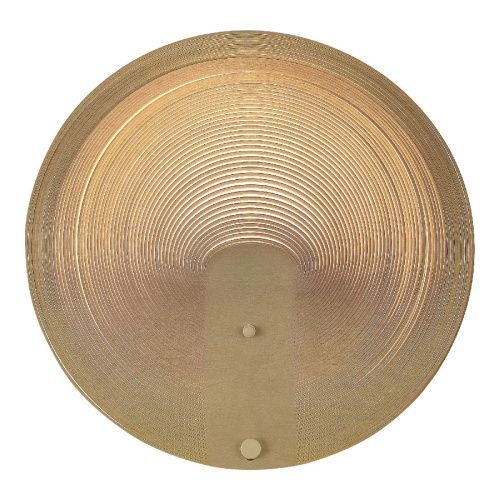 Светильник настенный ST Luce Fossil (Фоссил) SL6900.501.16
