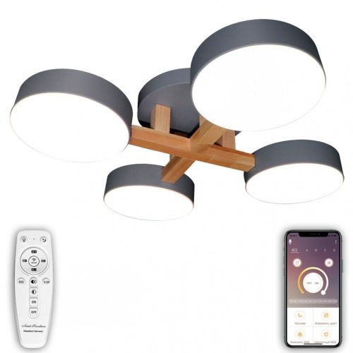 Светильник потолочный Natali Kovaltseva LED (ЛЕД) LED LAMPS 81330