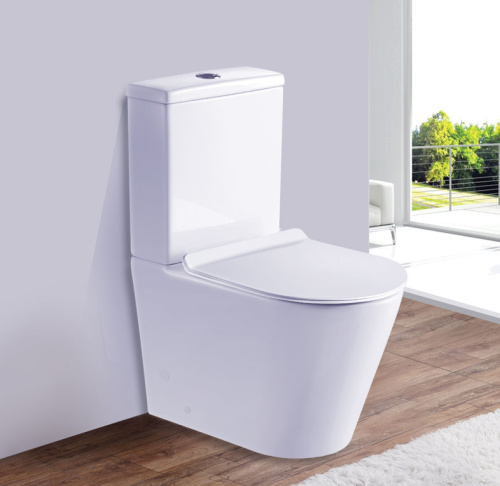 Унитаз напольный с бачком Esbano ALAGON-С ESUNALAGCW белый с сиденьем микролифт безободковый каскадный смыв