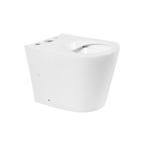 Чаша унитаза BelBagno FLAY-R BB2149CPR/SC приставная