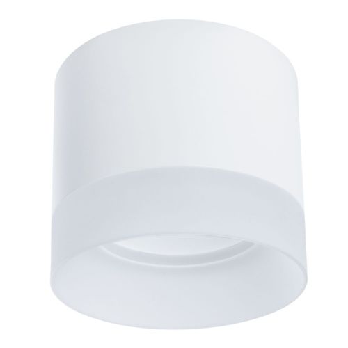 Светильник потолочный Arte Lamp Castor (Цастор) A5554PL-1WH