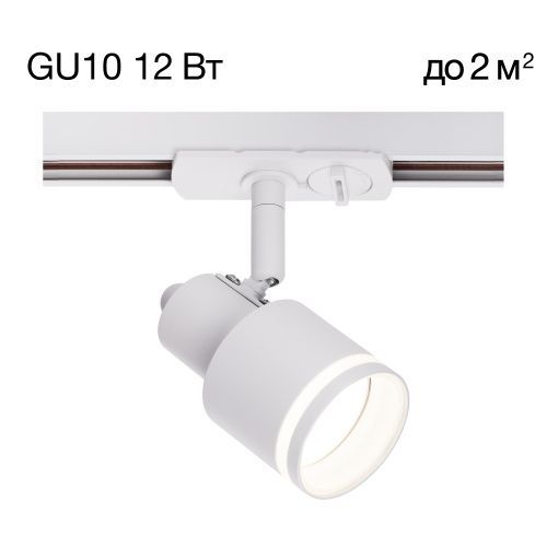 Трековый светильник Citilux Bruno (Бруно) CL565T10