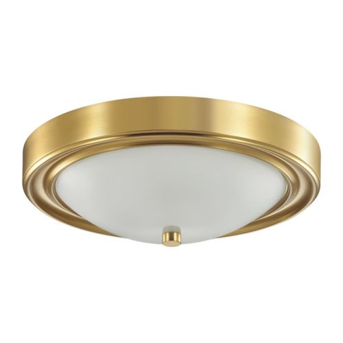 Настенно-потолочный светильник Lumion Vintage (Винтаге) 5259/2C