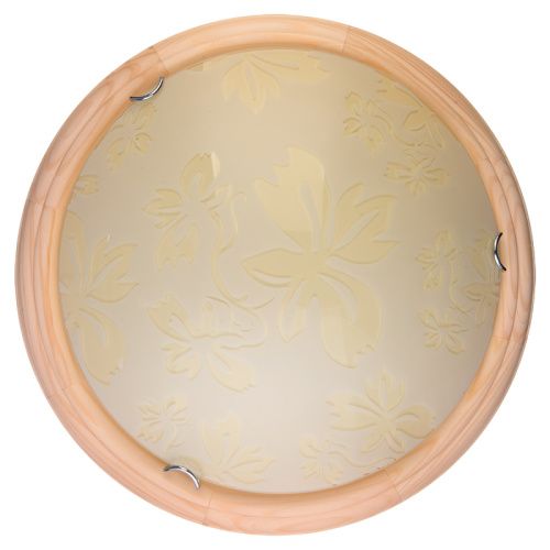 Светильник накладной Toplight Jane (Джане) TL9640Y-00PN