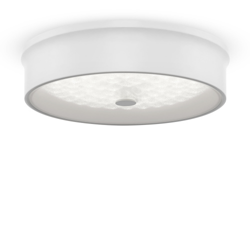 Светильник потолочный Freya Cells (Элементы) FR10011CL-L24W