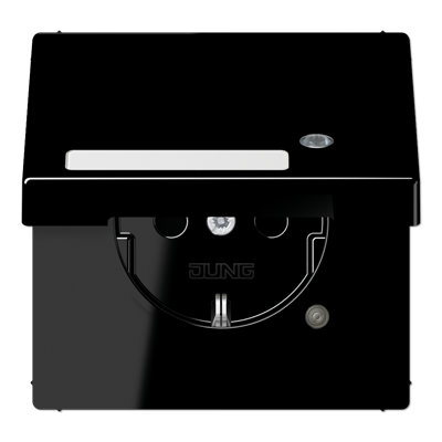 Розетка с крышкой Jung LS1520NAKLKOSW