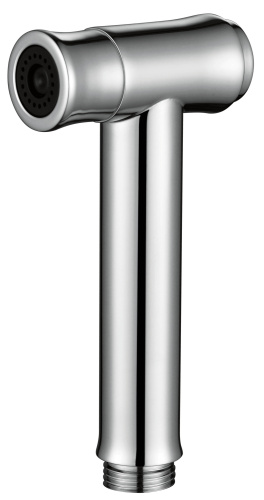 Лейка для гигиенического душа AltroBagno BM AltroBagnoBS060202Cr круглая