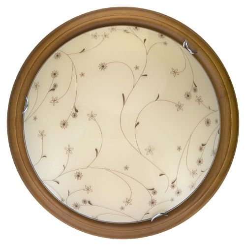 Светильник накладной Toplight Karissa (Карисса) TL9650Y-00OA