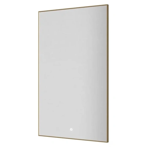 Зеркало в ванную Boheme 569-MG 60х100 цвет золото матовое