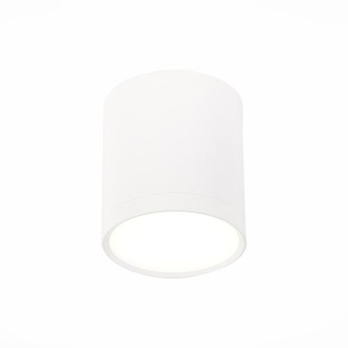 Светильник потолочный ST Luce Rene (Рене) ST113.542.05