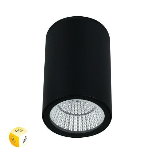 Уличный потолочный светильник Arte Lamp Torcular (Торцулар) A1307PF-1BK