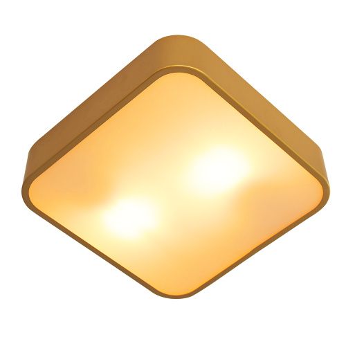Светильник потолочный Arte Lamp Cosmopolitan (Цосмополитан) A7210PL-2GO