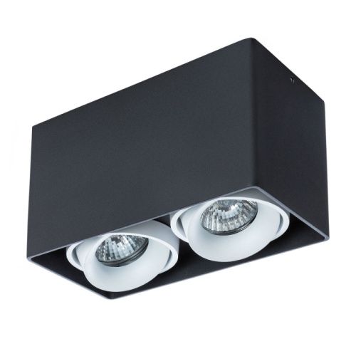 Светильник накладной Arte Lamp Pictor (Пицтор) A5654PL-2BK