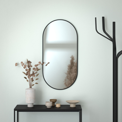 Зеркало в ванную Evoform Colora BY 464 50х100