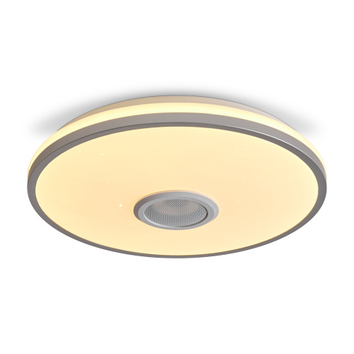 Светильник потолочный Freya Rond (Ронд) FR6226CL-L36W