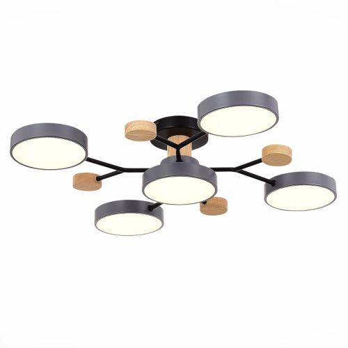 Люстра на штанге Evoluce Faema (Фаема) SLE6006-702-05
