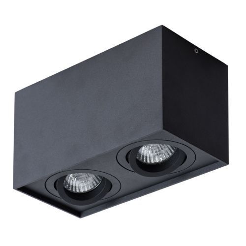 Светильник потолочный Arte Lamp Factor (Фацтор) A5544PL-2BK