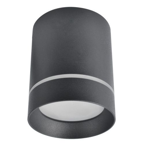 Светильник накладной Arte Lamp Elle (Елле) A1949PL-1BK