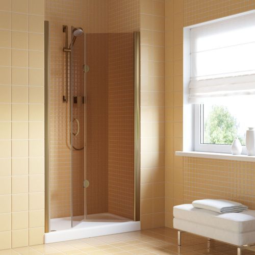 Душевая дверь Vegas-Glass GPS LUX GPS LUX 85 05 05 R 85х200 стекло тонированное профиль бронза