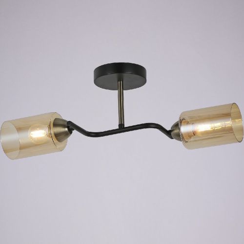 Светильник потолочный Illumico IL8148-2COU-79 BK BR Bice