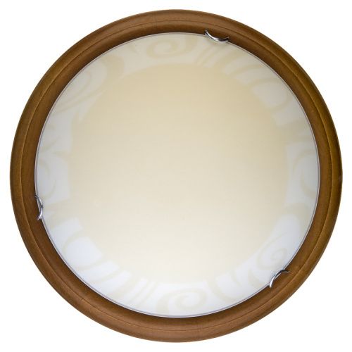 Светильник накладной Toplight Ginger (Гингер) TL9620Y-00OA