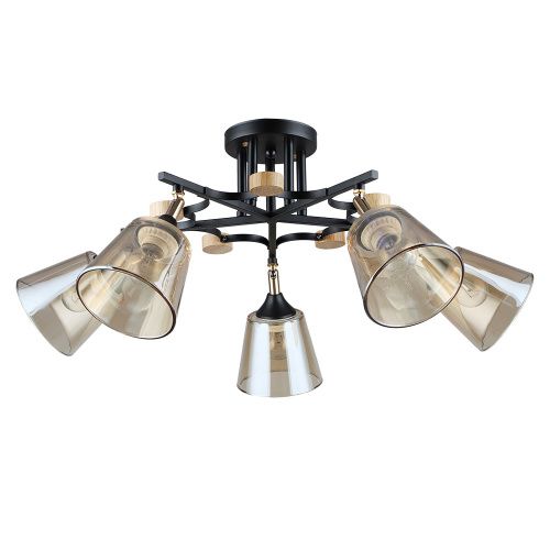 Люстра потолочная Arte Lamp Glassy (Глассы) A5078PL-5BK