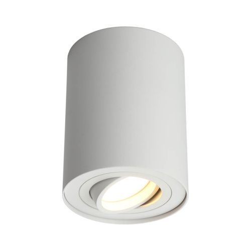 Настенно-потолочный светильник Omnilux Pantaleo (Панталео) OML-101009-01
