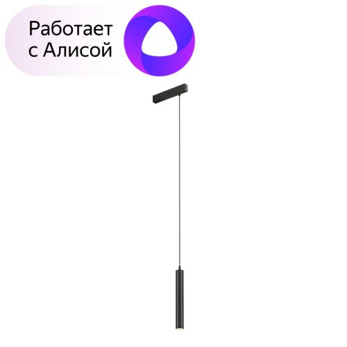 Трековый светильник Denkirs Smart Spot (Смарт Спот) DK8008-BK