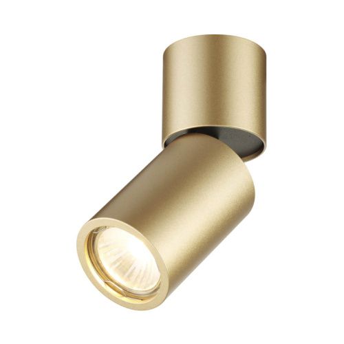 Спот Odeon Light Duetta (Дуетта) 3895/1C