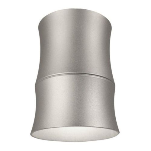 Светильник накладной Lumina Deco Riston (Ристон) LDC 8053-C SL