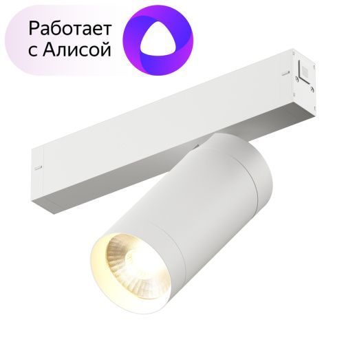 Трековый светильник Denkirs Smart Spot (Смарт Спот) DK8020-WH
