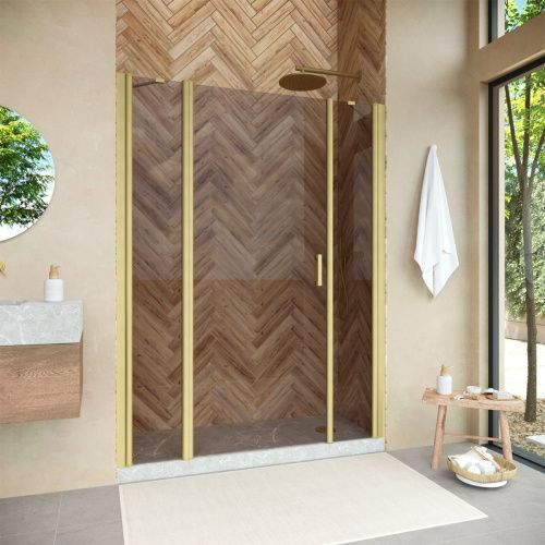 Душевая дверь Vegas-Glass EP-2F NOVO EP-2F NOVO 205 03 05 L 205х190 стекло тонированное профиль золото