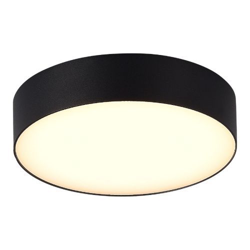 Уличный потолочный светильник ST Luce Sun (Сун) SL9518.402.01