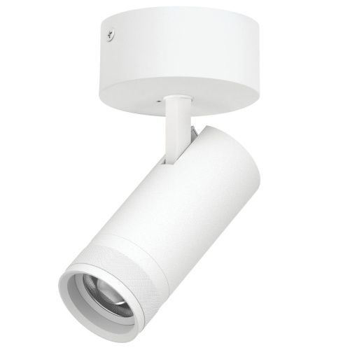 Светильник накладной Lightstar Canno Pro (Цанно Про) C4206SO