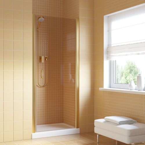 Душевая дверь Vegas-Glass EP LUX EP LUX 60 09 05 R 60х200 стекло тонированное профиль золото